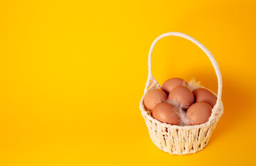 Easter holiday card with basket full of eggs on yellow background decorated with a pussy willow twigs. Copy space. Empty text place. Springtime mockup design. Healthy food. Farm production. Close-up