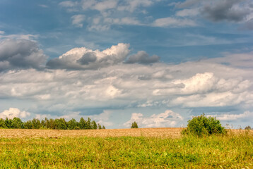 Country road and green landscape of farmland against blue sky in spring season. Advertising space concept.