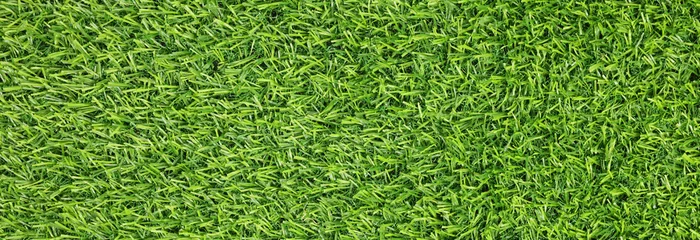 Tuinposter Gras Fresh green grass as background outdoors, top view. Banner design