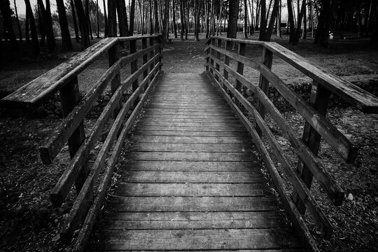 Old wooden bridge in the forest