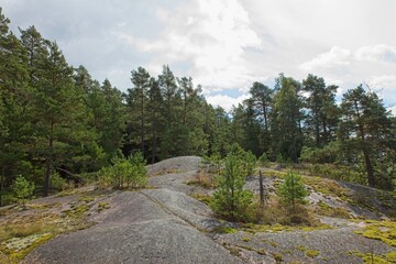 Rock formation with trees in forest in cloudy autumn weather.