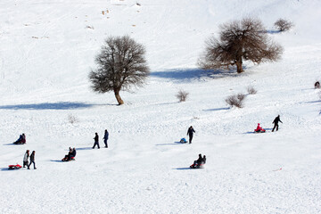 people sliding down the mountainside