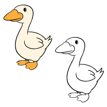 Duck illustration. Perfect for art, postcards, cards, wall decor, t-shirts, cards, prints, picture books, coloring books, wallpapers, prints, cards, etc.
