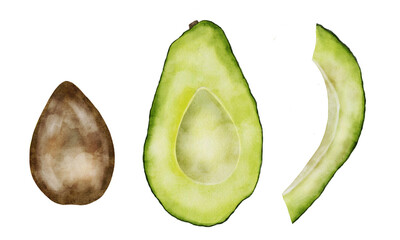Avocado Watercolor Set. Plant from the legume family, cut in half with seed on white isolated background. Food for a jazzy lifestyle.
