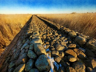 road to the sea