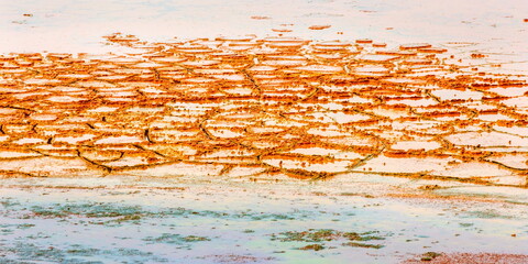 polluted cracked earth after industry work
