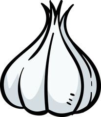 illustration of a garlic