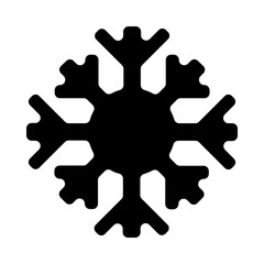 Snowflake Solid Icon