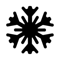 Snowflake Solid Icon