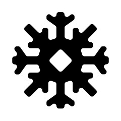 Snowflake Solid Icon
