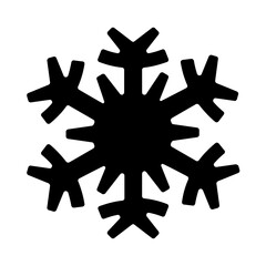 Snowflake Solid Icon