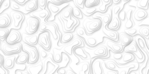 Abstract geometric layered curve line white background. 3d white papercut topography relief. Cover layout template. paper cut topography soft background banner texture. light liquid wave illustration.