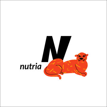 Vector illustration with nutria and English capital letter N. childish alphabet for language learning