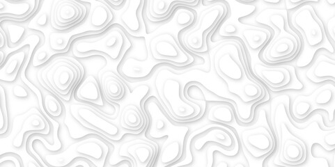 Abstract geometric layered curve line white background. 3d white papercut topography relief. Cover layout template. paper cut topography soft background banner texture. light liquid wave illustration.
