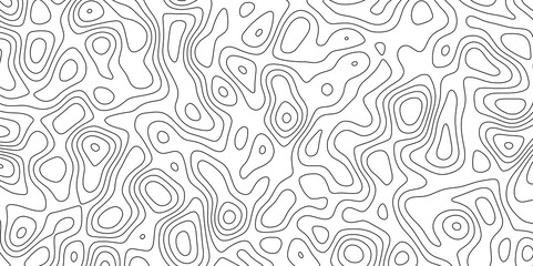 Abstract white topography vector background. Topographic map. Geographic mountain relief. counter map wavy line paper textrue. grid curve line abstract vector illustration .