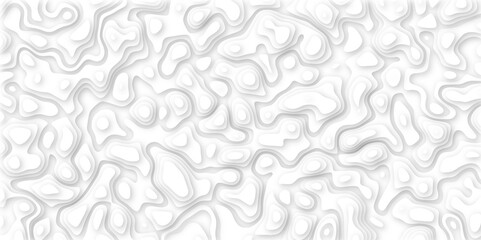 Abstract geometric layered curve line white background. 3d white papercut topography relief. Cover layout template. paper cut topography soft background banner texture. light liquid wave illustration.