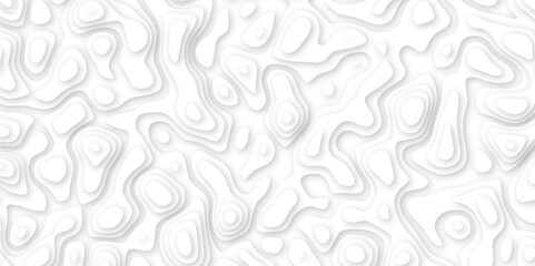 Abstract geometric layered curve line white background. 3d white papercut topography relief. Cover layout template. paper cut topography soft background banner texture. light liquid wave illustration.