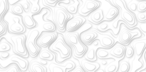 Abstract geometric layered curve line white background. 3d white papercut topography relief. Cover layout template. paper cut topography soft background banner texture. light liquid wave illustration.