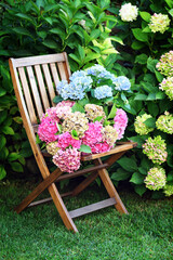 Beautiful hydrangea flowers in the garden - 737875070