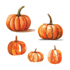 set of pumpkins on white background