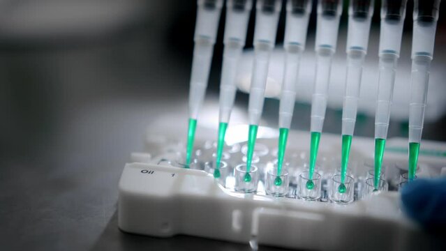 Multiple pipette tips inserting green liquid into test tubes.