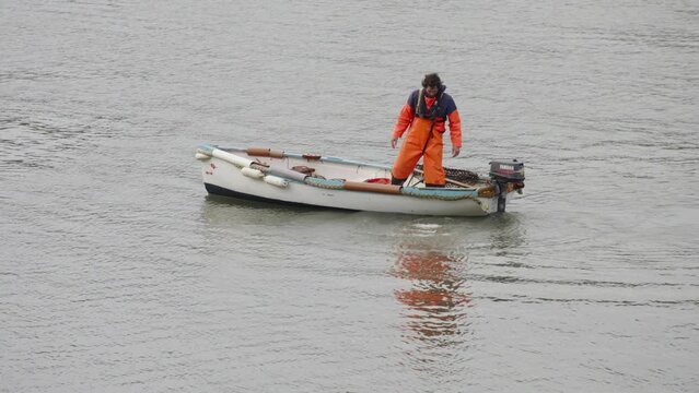 Bags of scallops going into estuary for later
