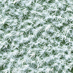 snowy grass texture tile pattern