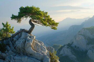 A solitary tree perched atop a rugged cliff, overlooking the vast expanse of sea and mountains. - obrazy, fototapety, plakaty