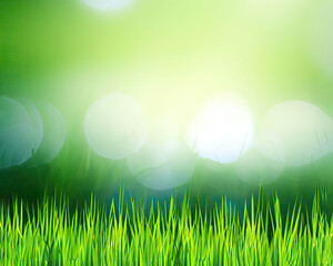 Fototapeta na wymiar Spring or summer with grass field and natural green background