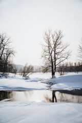 A freezing river flows through a snowy field with trees in a natural landscape