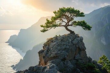 A tree standing proudly on a cliff's edge, overlooking expansive views of the sea and distant mountains.