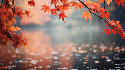 Fall natural background