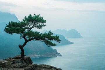 A tree standing proudly on a cliff's edge, overlooking expansive views of the sea and distant mountains. - obrazy, fototapety, plakaty