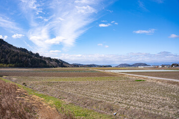 のどかな風景