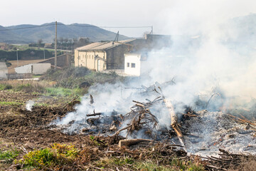 Burning pruning remains. Environmental management