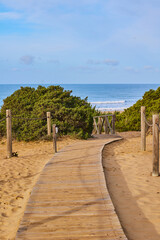 Fototapeta premium Wooden path to the sea through sand dunes overgrown with bushes