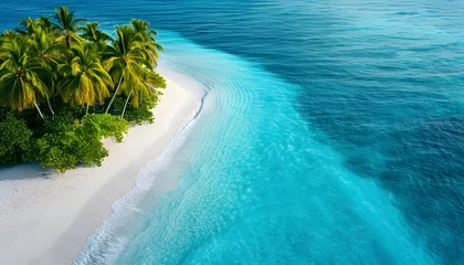Gordijnen beach with palm trees and waves tropical island aerial view blue ocean clear water holiday vacation travel paradise  © Steven