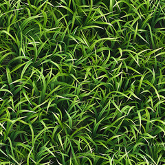 green grass texture top down view
