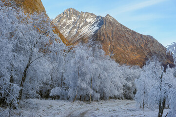 The morning light illuminates frost-covered trees, contrasting with the rugged mountain backdrop.