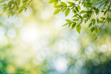 Obraz premium Blurred green leaves create abstract spring background. Bokeh adds vibrant freshness under sunny sky.
