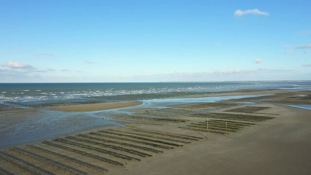 Oyster beds facing the English Channel at Utah beach in Europe, France, Normandy, towards Carentan, in spring, on a sunny day.