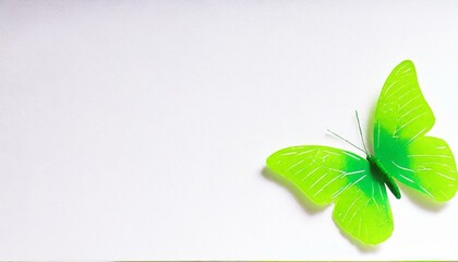 green butterfly of the paper