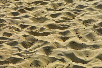 Ripples left in the sand after the tides gone out
