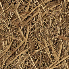 Dry Grass texture top down view