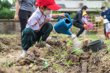 Kindergarten boy plantation seed on soil outdoor activity