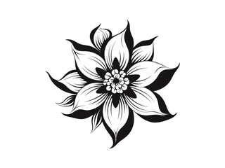 Beautiful minimalist flower illustration art.