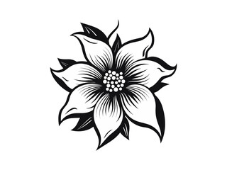 Beautiful minimalist flower illustration art.