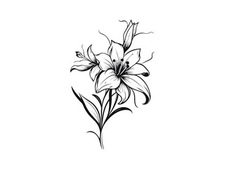 Beautiful minimalist flower illustration art.