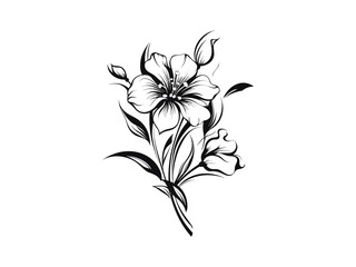 Obraz premium Beautiful minimalist flower illustration art.