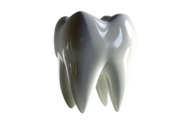 a white tooth with a shadow on the ground